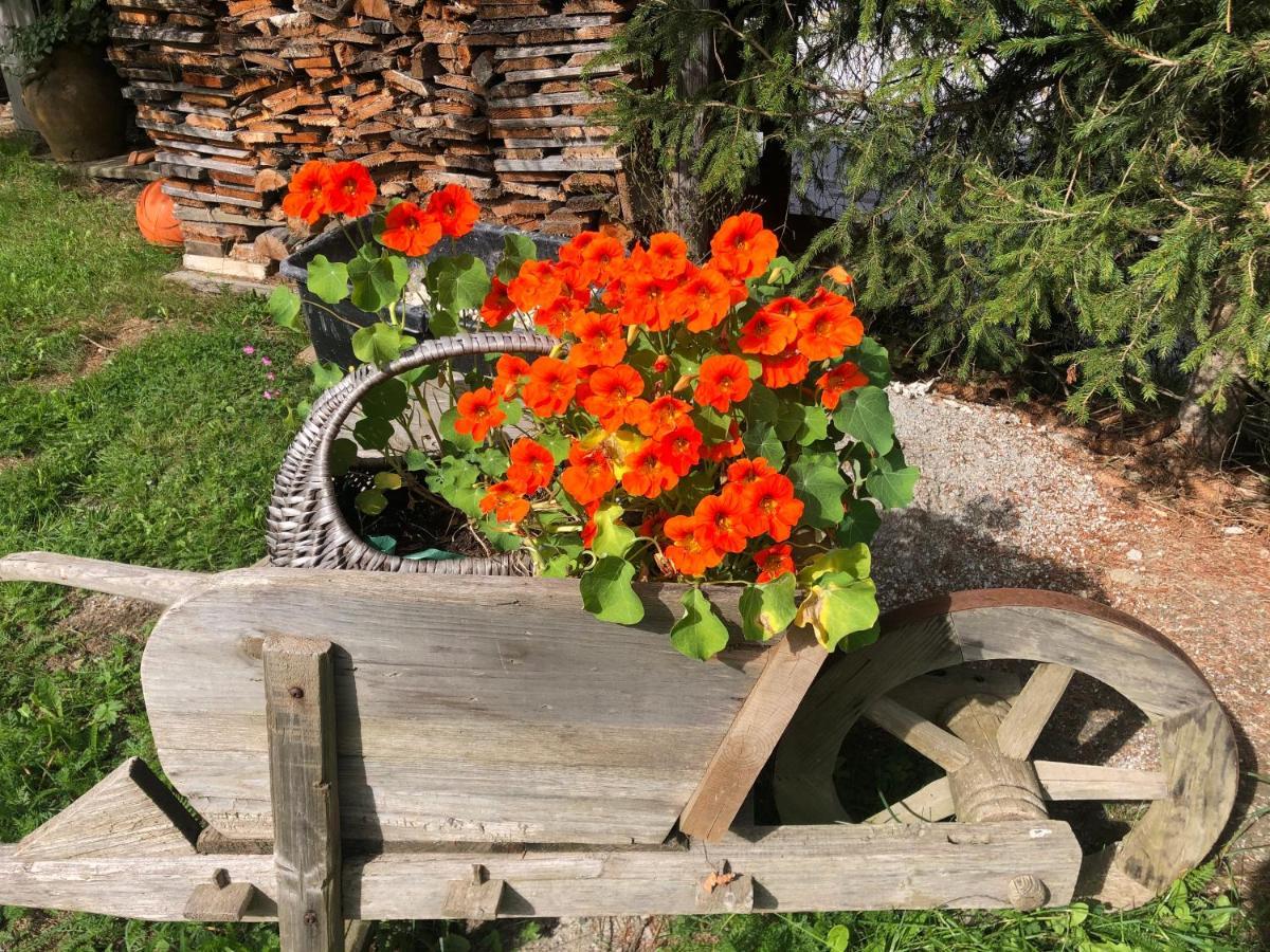 Apartmán Wilma Schladming